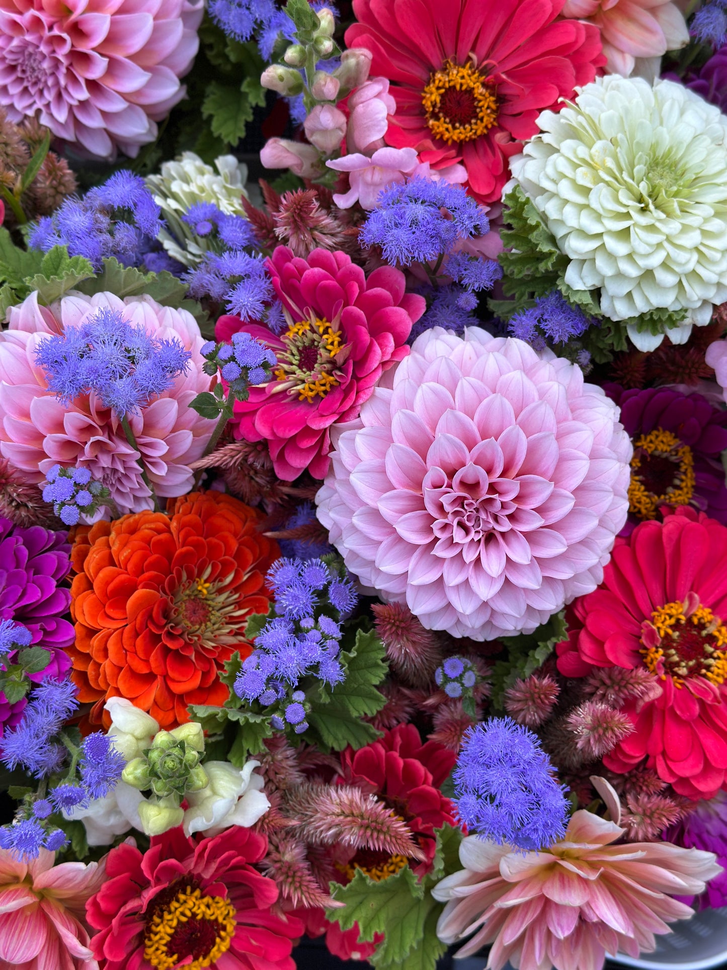 Ultimate Flower Club CSA Bouquets