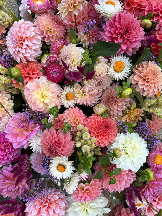 Late Summer Flower Club CSA Bouquets